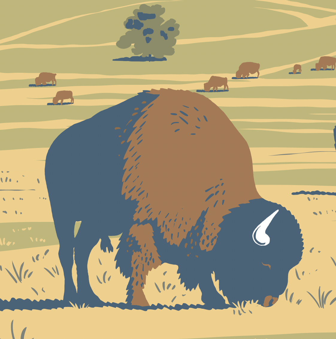 Custer State Park Print