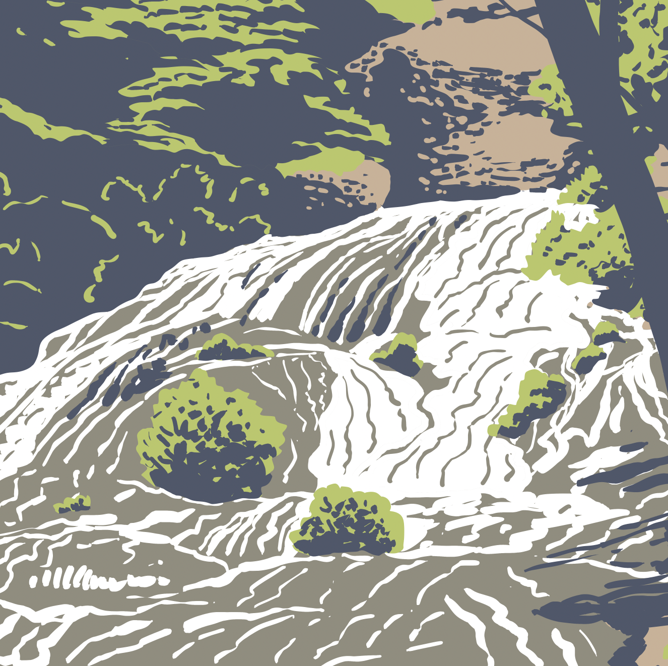 Decorah Dunning's Spring Print