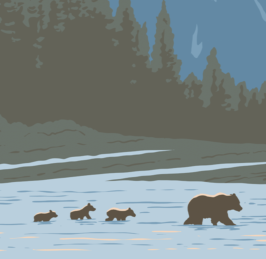 Jackson Hole Bears Print