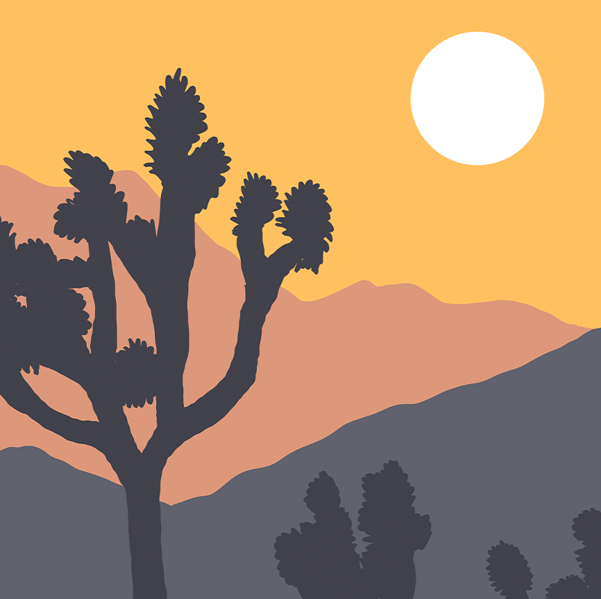 Joshua Tree National Park Desert Sunset Print