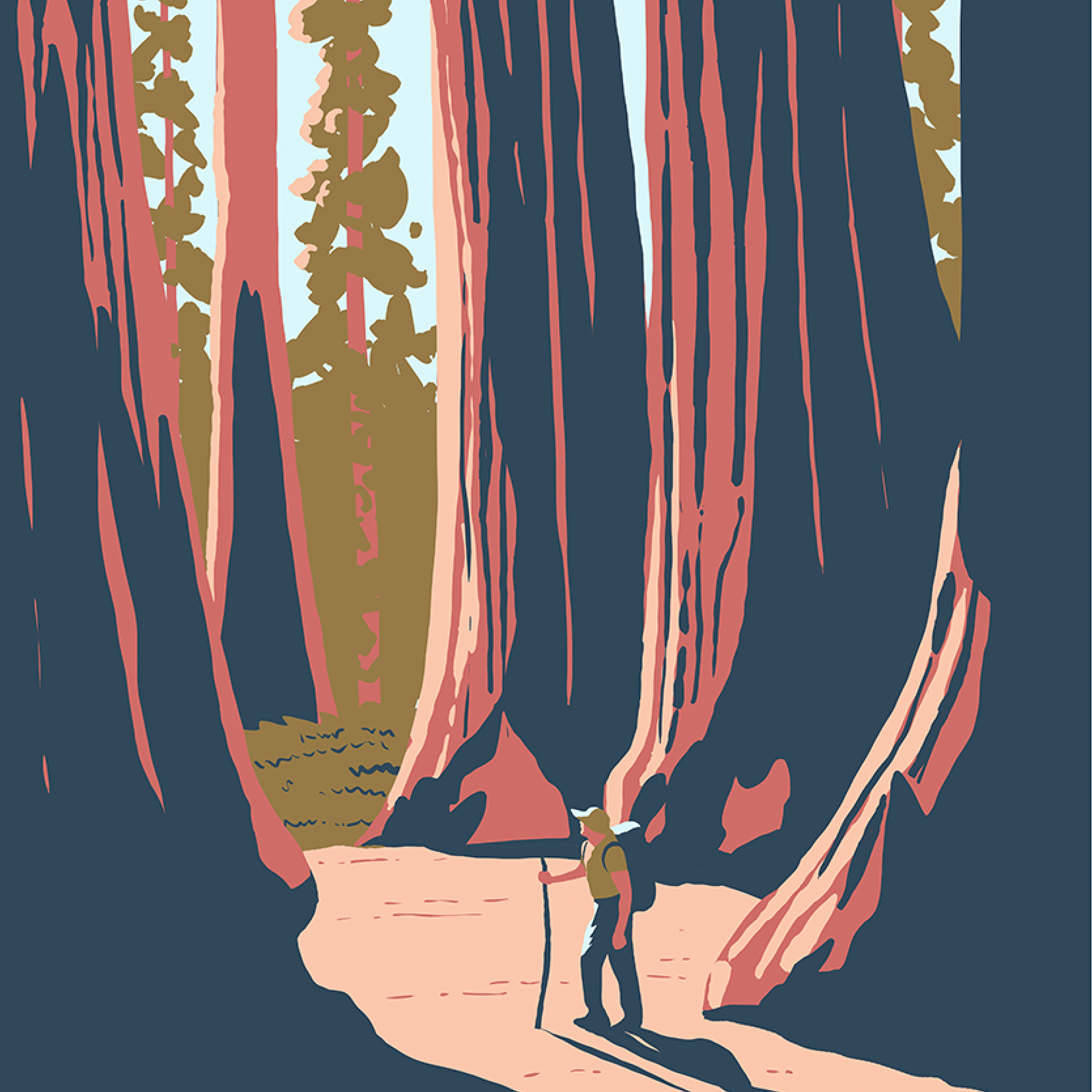 Sequoia National Park Forest Hike Print