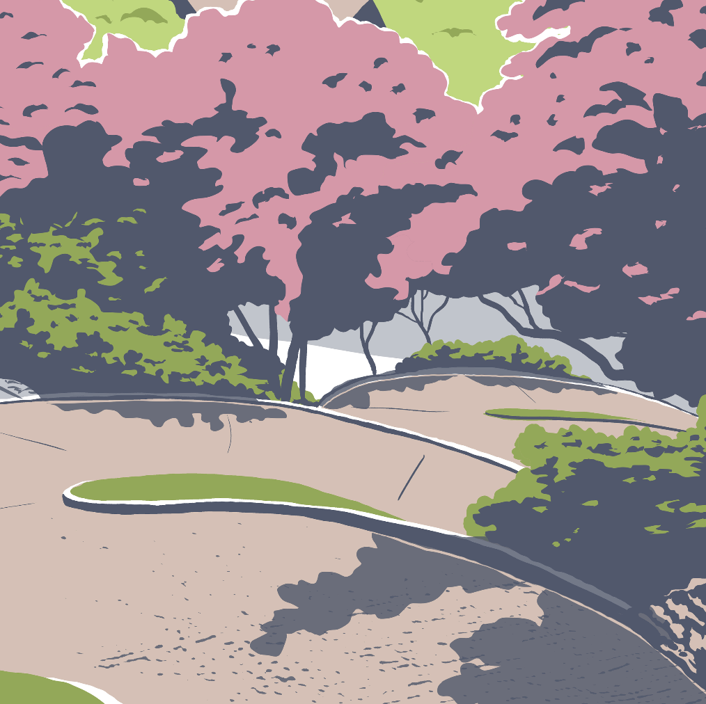 Burlington Snake Alley Print