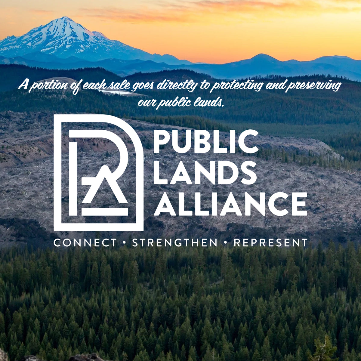 2026 National Parks Illustrated Wall Calendar