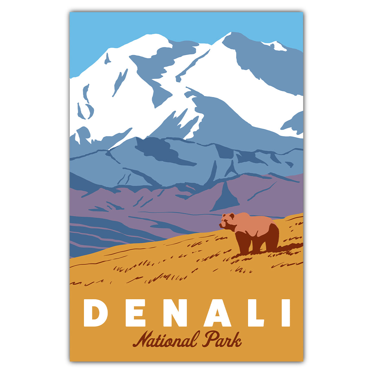 Denali National Park Grizzly Bear Postcard