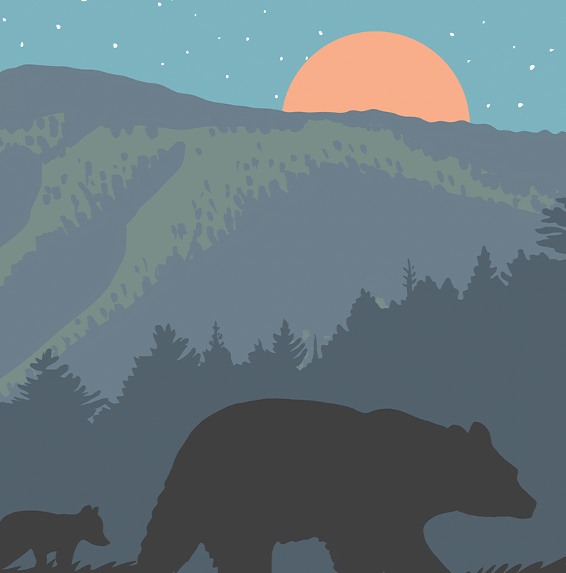 Great Smoky Mountains National Park Cades Cove Print