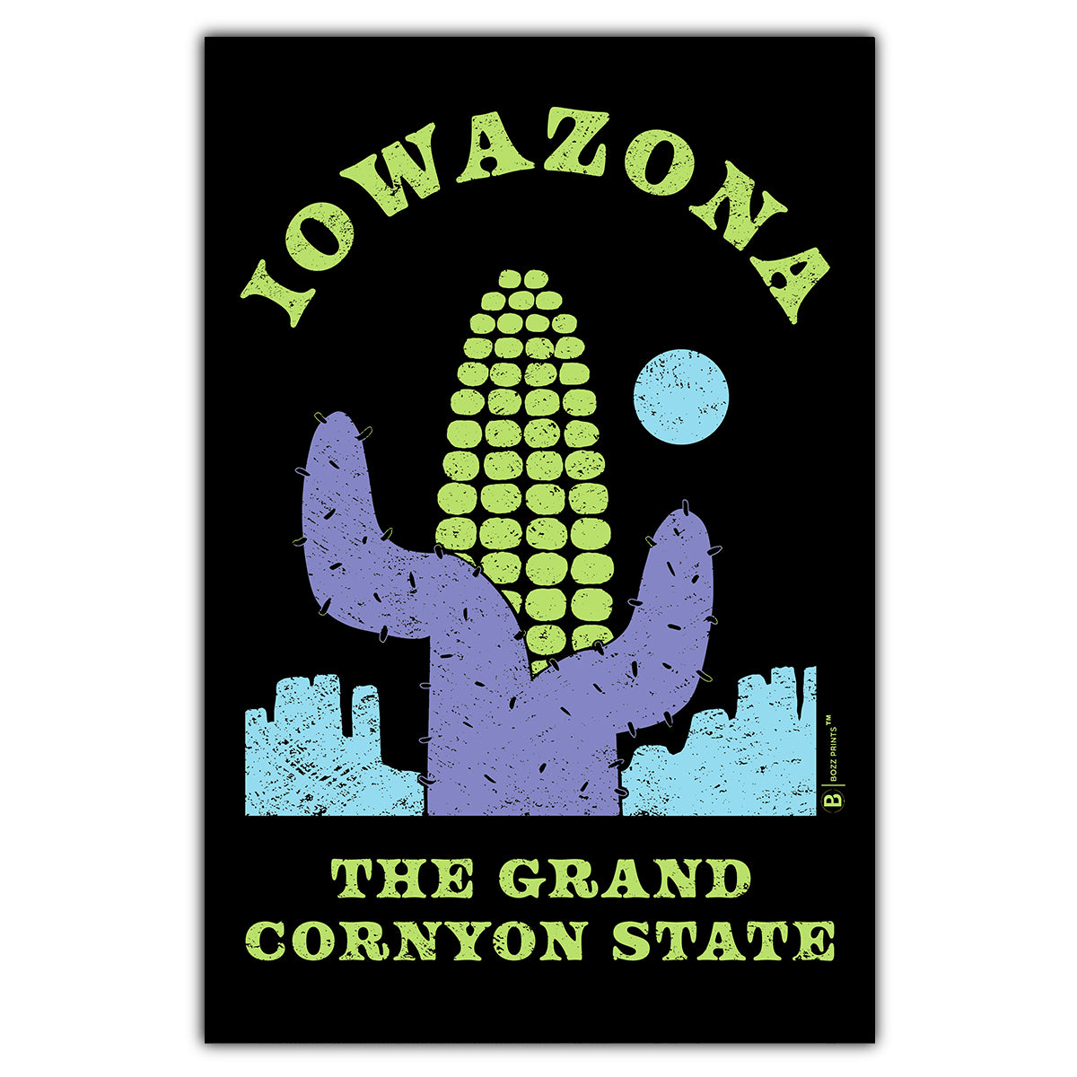 Iowazona Black Postcard
