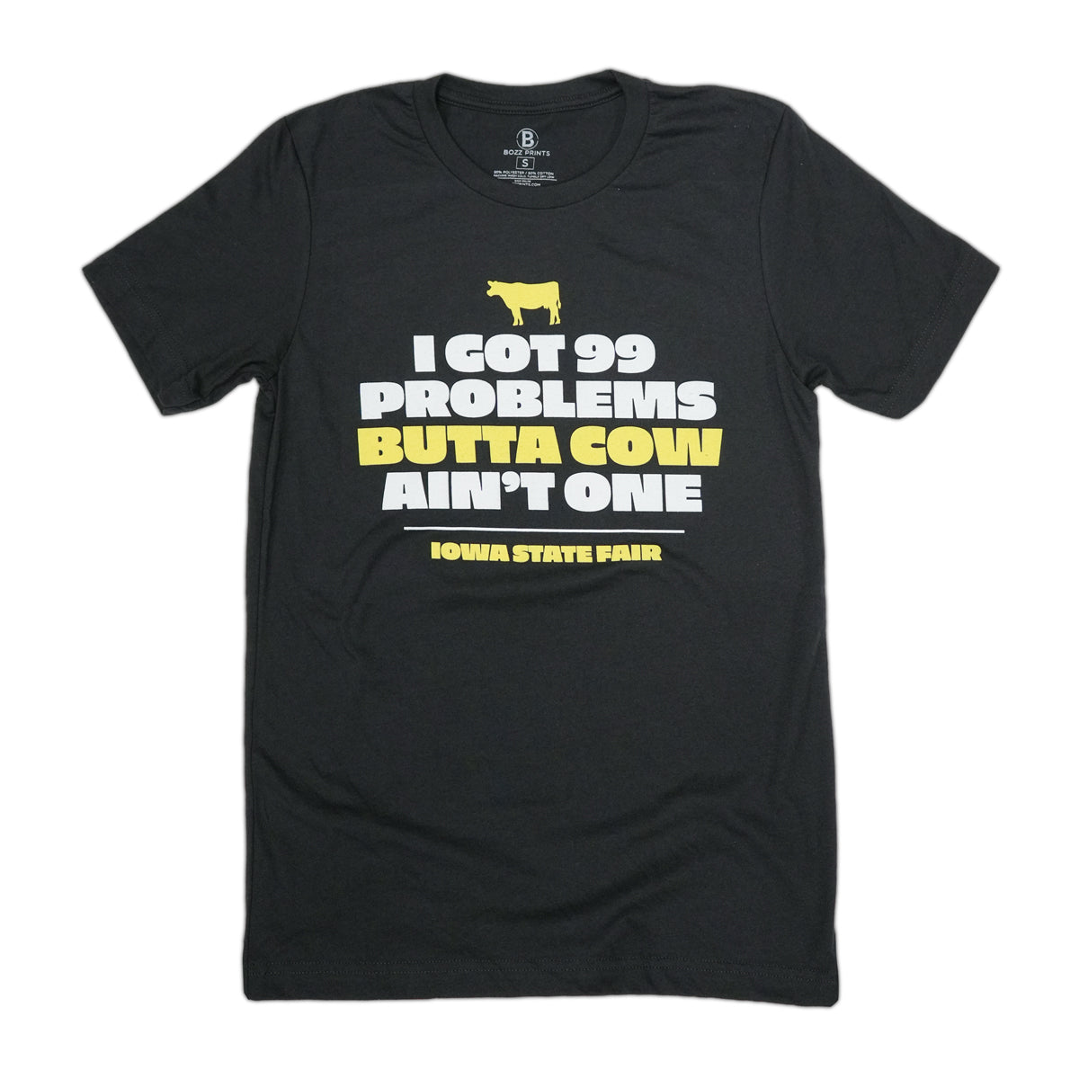 Iowa State Fair 99 Problems T-Shirt
