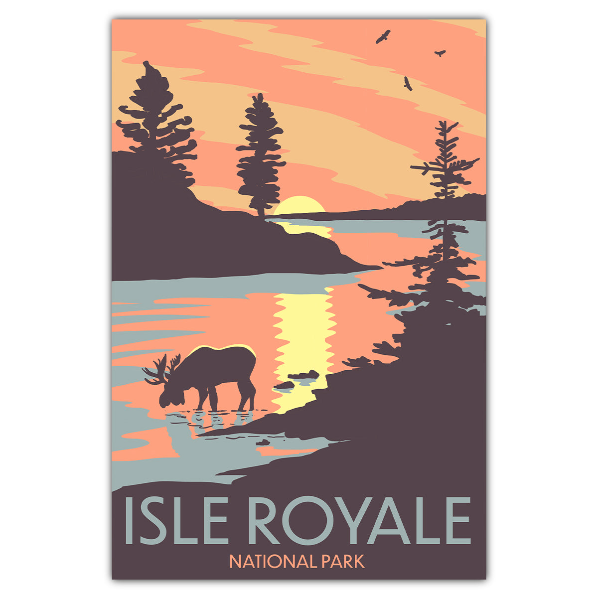 Isle Royale National Park Sunset Moose Postcard