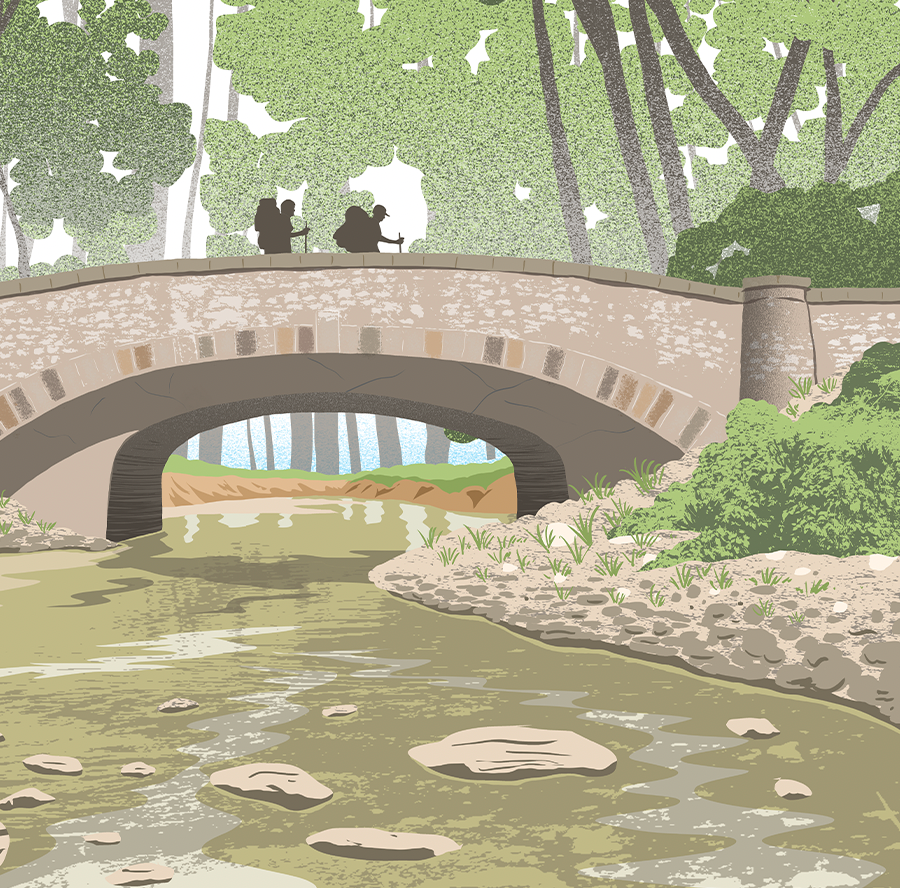 Lacey-Keosauqua State Park Print