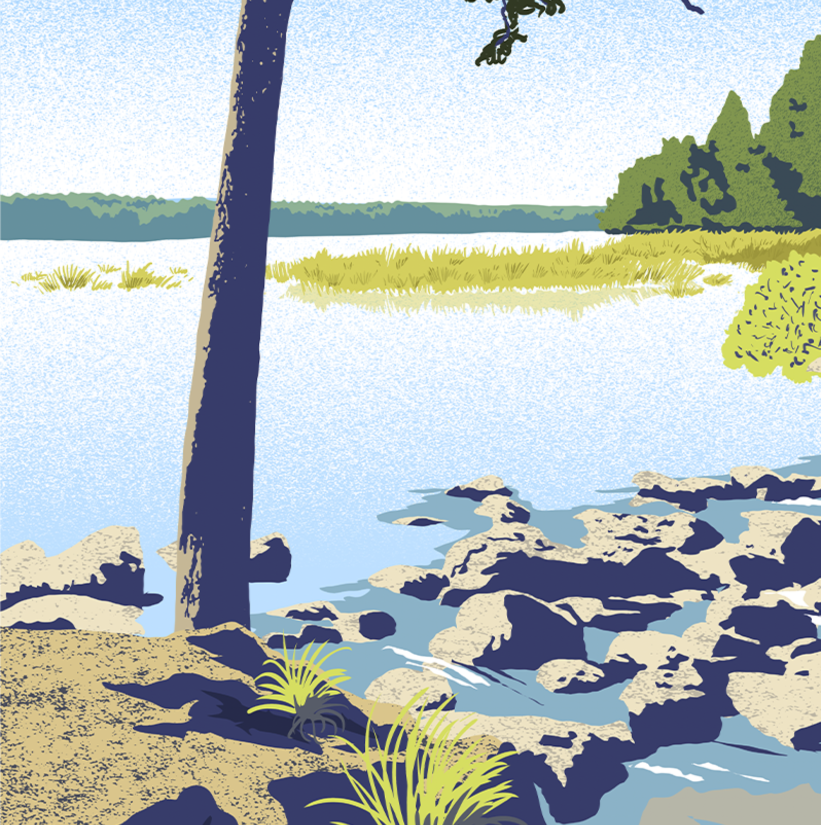 Lake Itasca Print