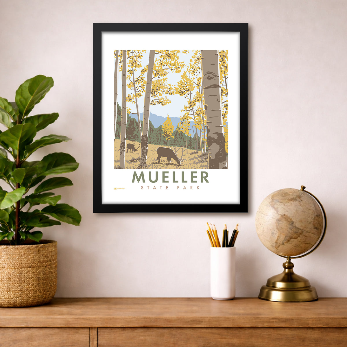 Mueller State Park Colorado Print