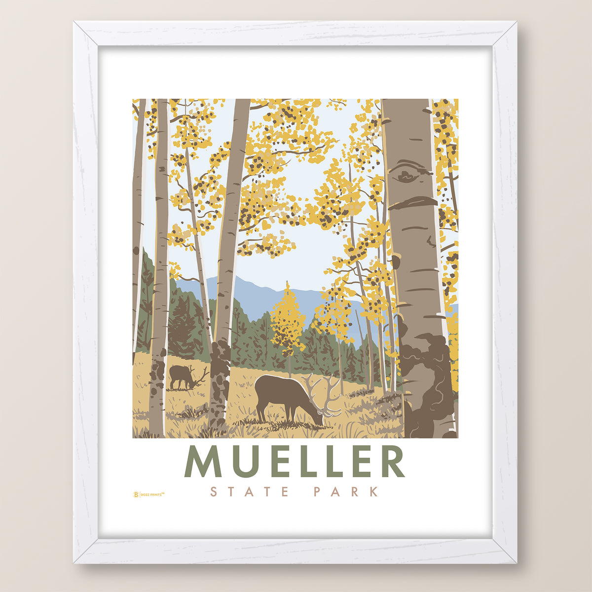 Mueller State Park Colorado Print
