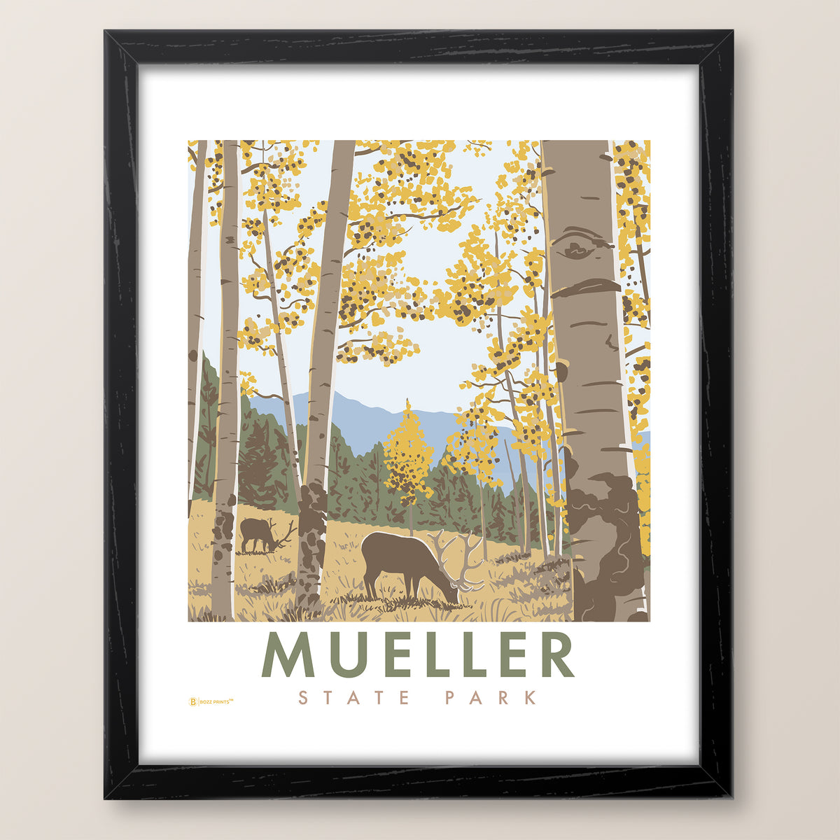 Mueller State Park Colorado Print