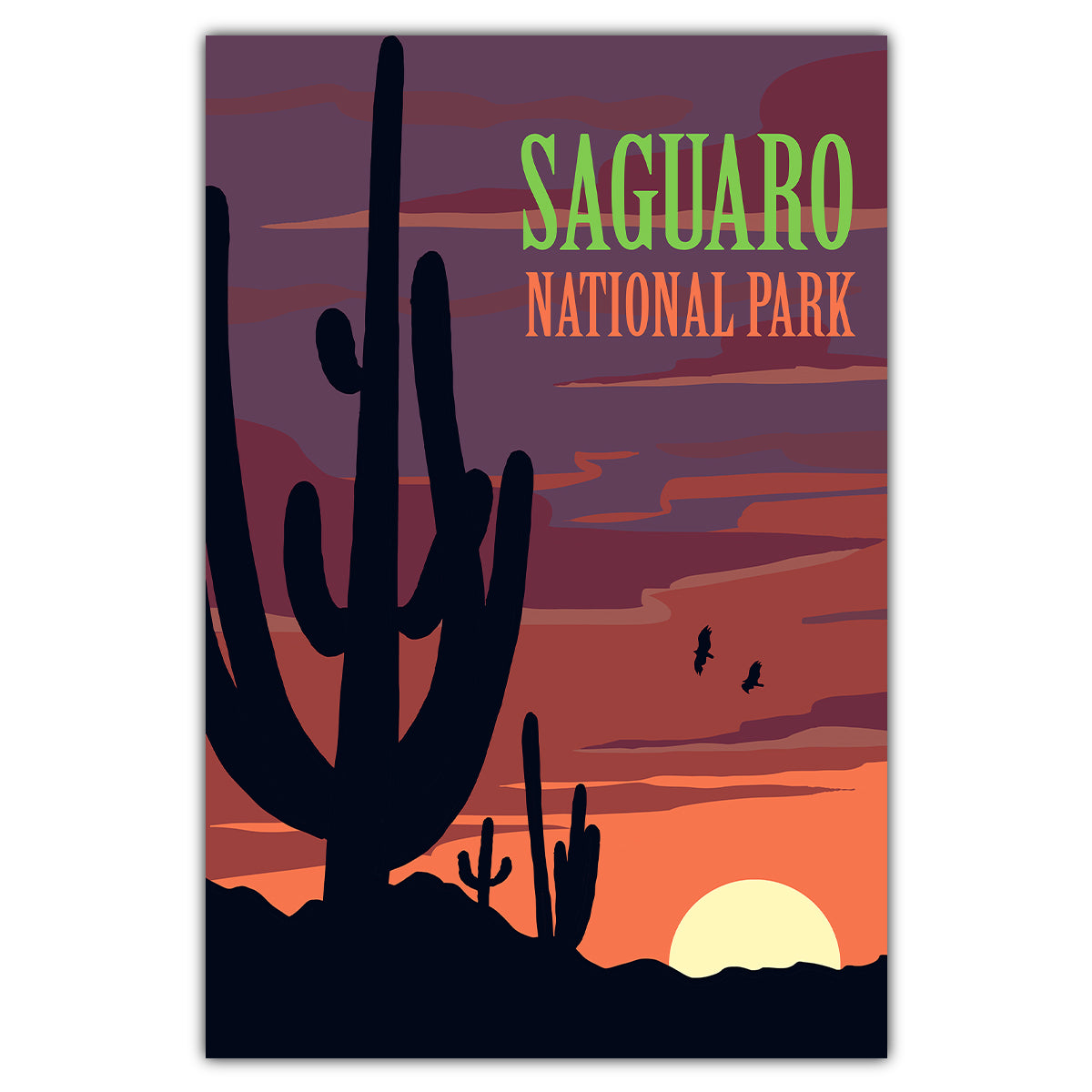 Saguaro National Park Postcard