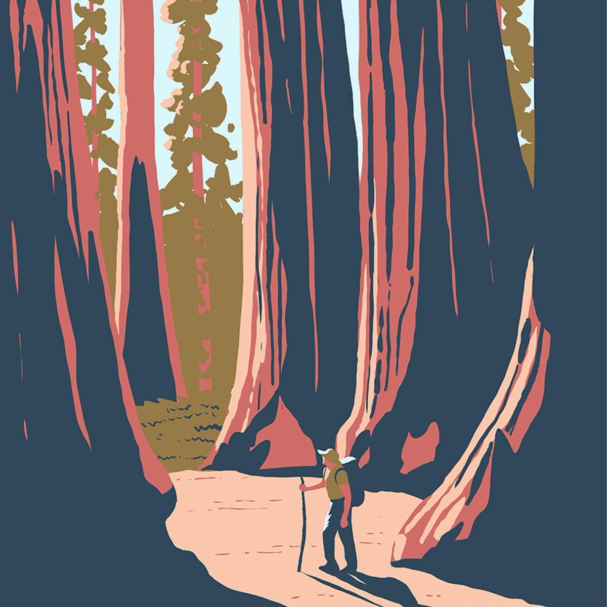 Sequoia National Park Forest Hike Print