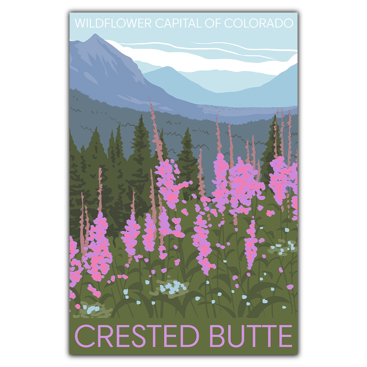 Crested Butte Wildflower Capitol Postcard - Bozz Prints