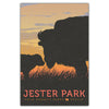 Jester Park Postcard - Bozz Prints