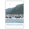 Spearfish Canyon Postcard - Bozz Prints