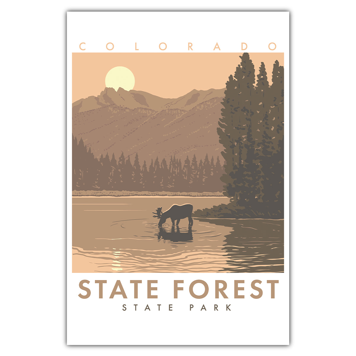 State Forest - Colorado State Park Postcard - Bozz Prints
