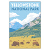 Yellowstone National Park Bison Valley Postcard - Bozz Prints